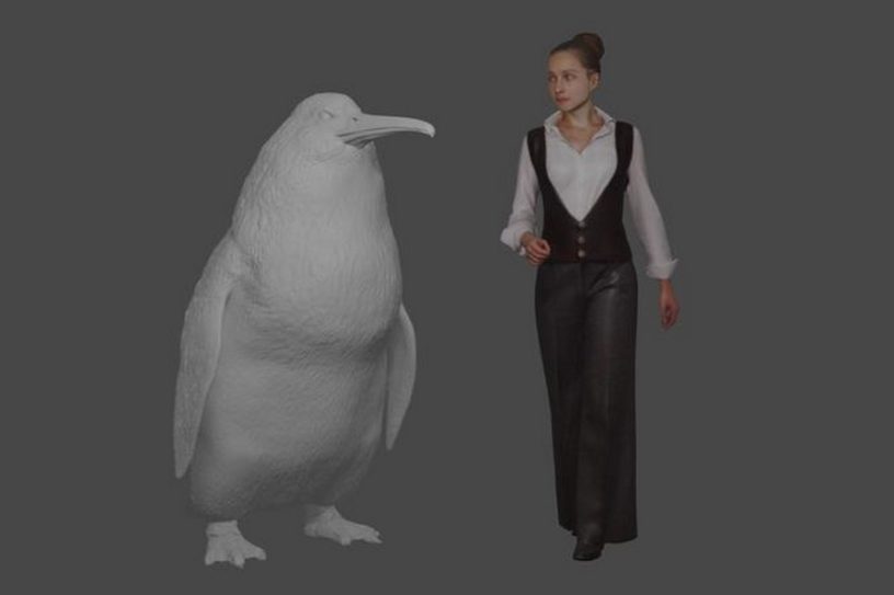 pingouin nouvelle zelande taille humaine