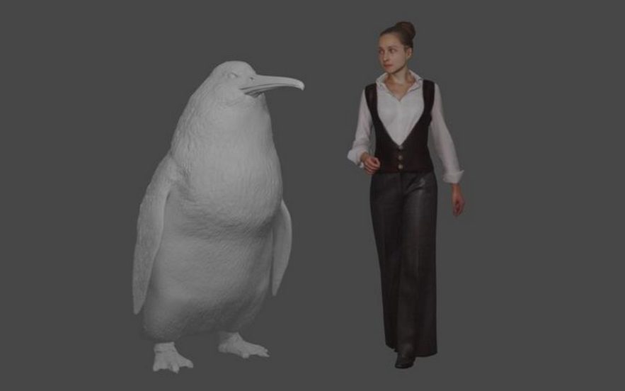 pingouin nouvelle zelande taille humaine