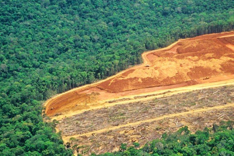 record deforestation amazonie juillet 2019
