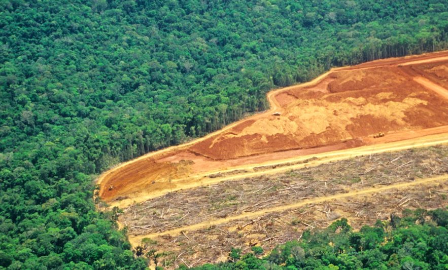 record deforestation amazonie juillet 2019