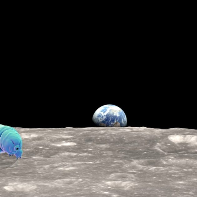 tardigrades sur lune beresheet crash