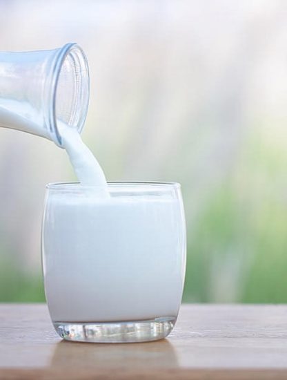 consommation lait