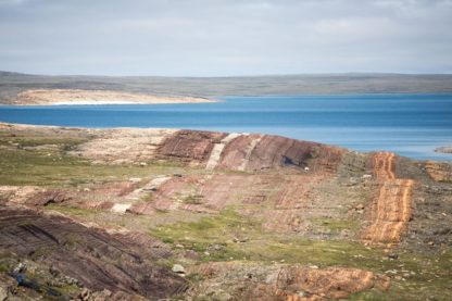 extinction cyanobacteries