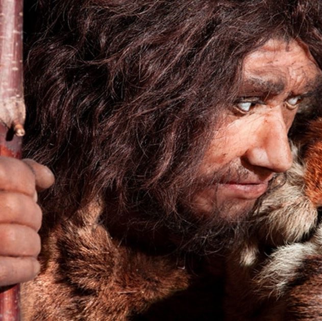 maladie neandertal