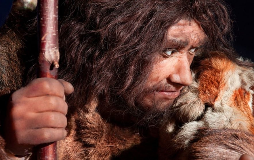 maladie neandertal