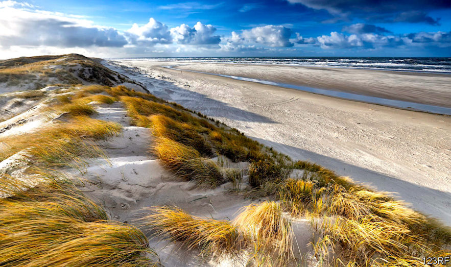 chaque sable plage son unique