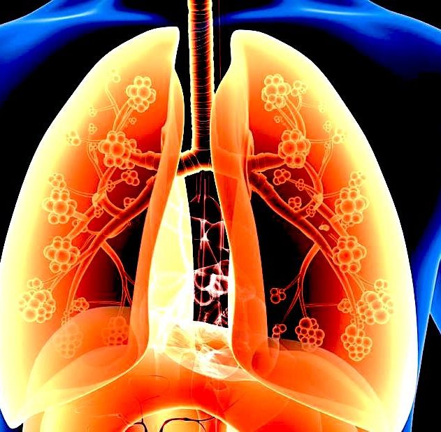 graisse poumons lien asthme decouverte