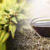 huile cbd