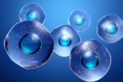 molecule protocellules