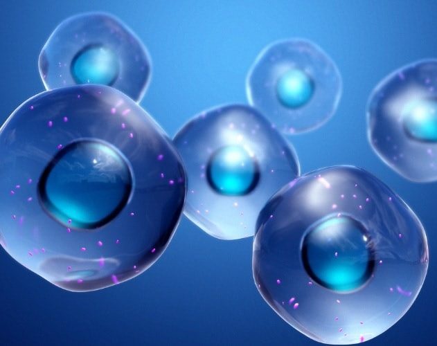molecule protocellules