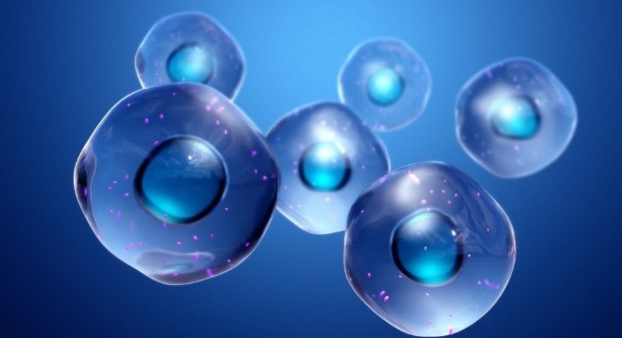 molecule protocellules