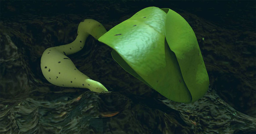 plante deux feuilles mission lune change 4
