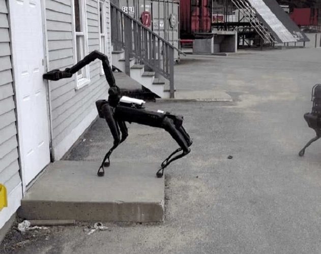 chiens robots police
