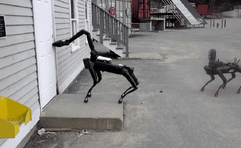 chiens robots police