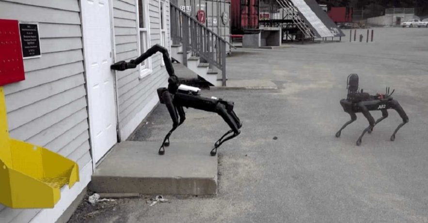 chiens robots police