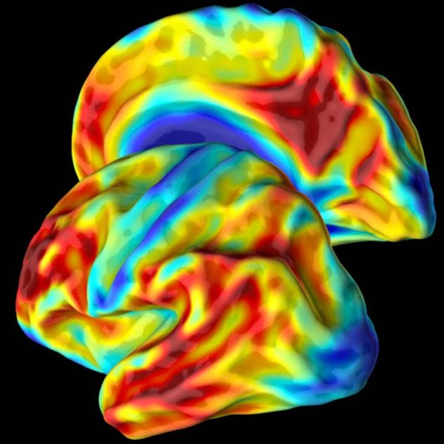 femme colombienne mutation genetique aide alzheimer