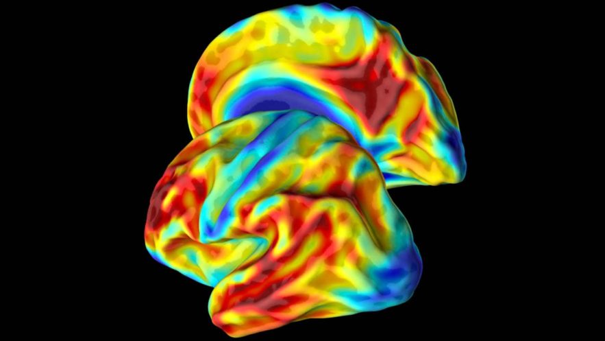 femme colombienne mutation genetique aide alzheimer