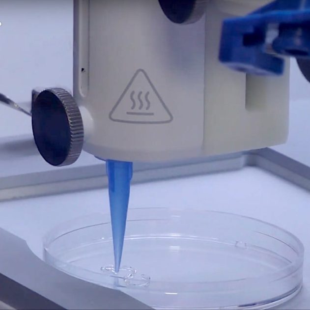 impression 3d peau artificielle vascularisee