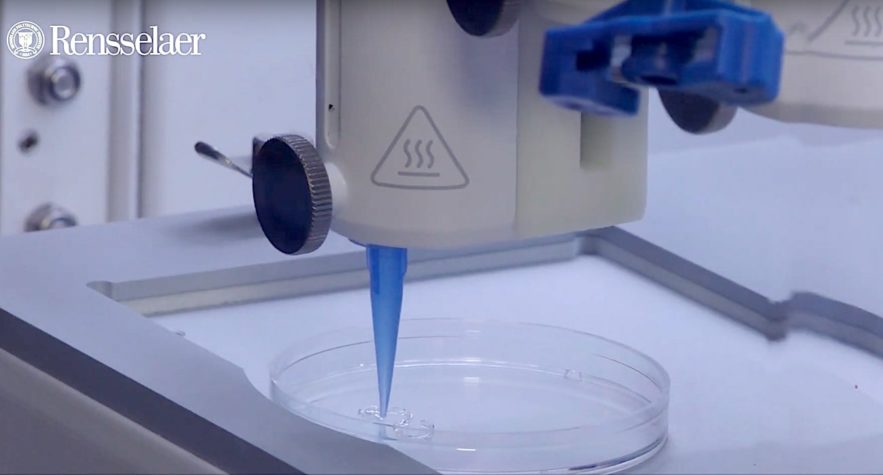 impression 3d peau artificielle vascularisee