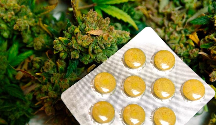 lutte cannabis comestible illegal codes barres blockchain