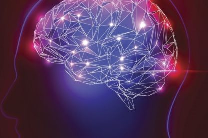 pensees cerveau