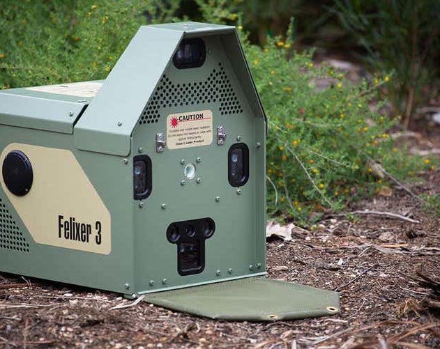 pistolet gel detection laser tue chats sauvages australie