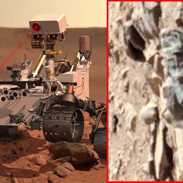vie mars preuves images rovers