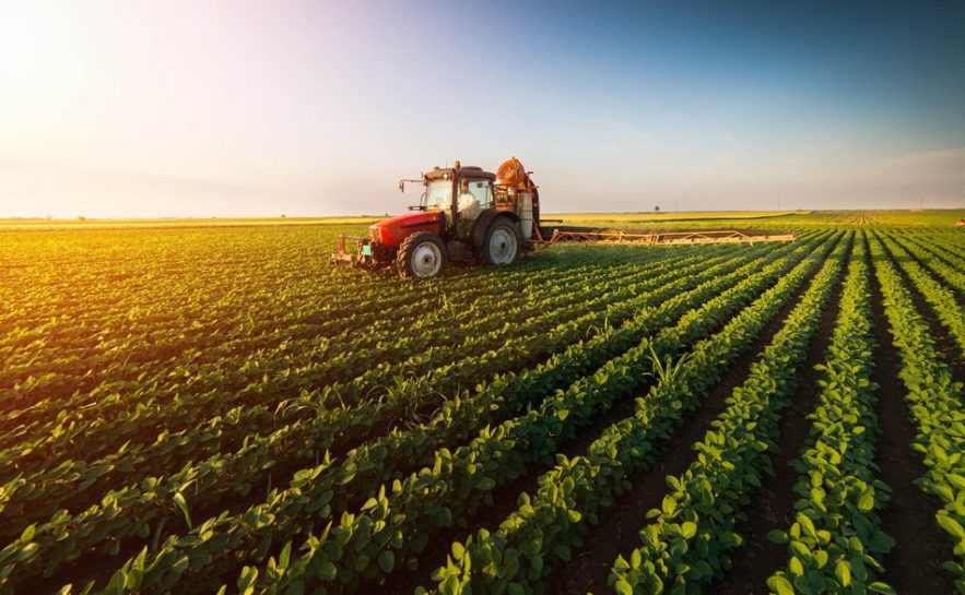 agriculture innovation scientifique technologique