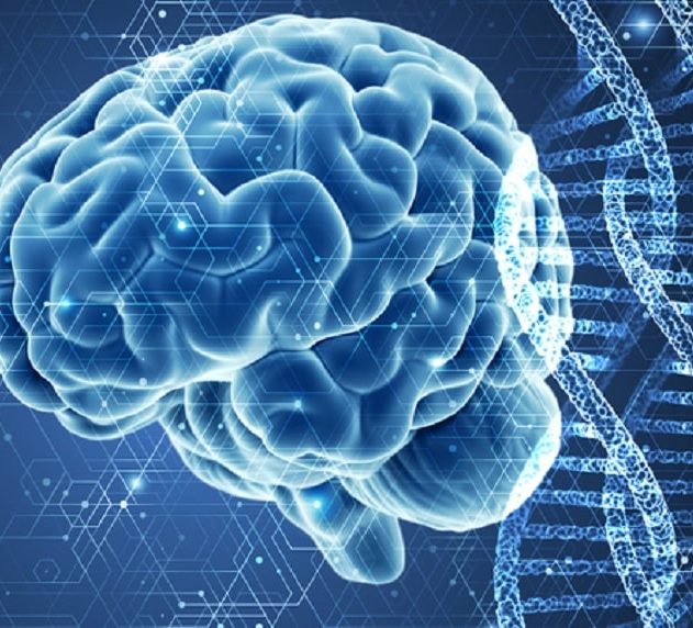 alzheimer mutation