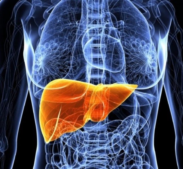 foie bioimpression organe humain fonctionnel