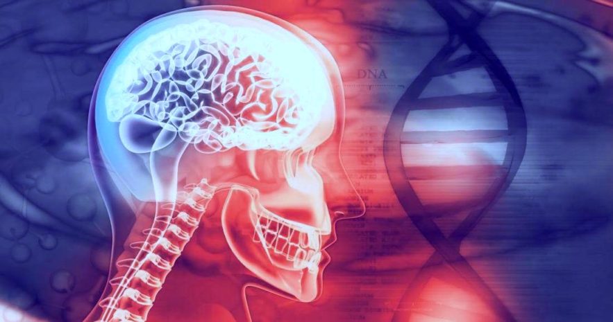 genes troubles psychiatriques