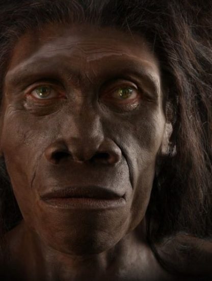 mort homo erectus