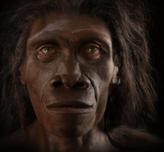 mort homo erectus