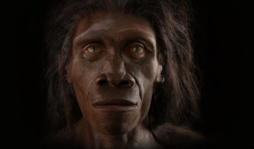 mort homo erectus