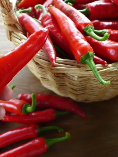 mortalite piment