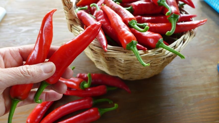 mortalite piment