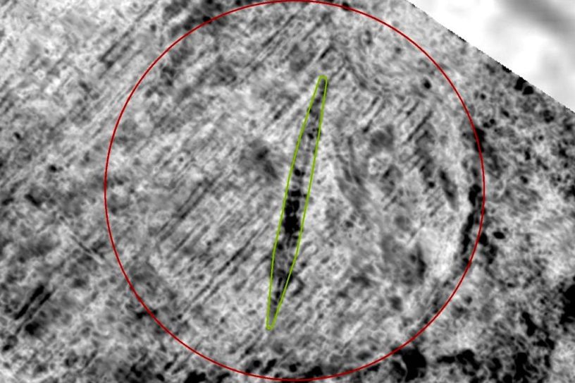 navire viking decouvert ferme norvegienne