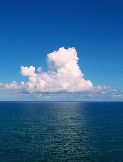 oceans zones mortes