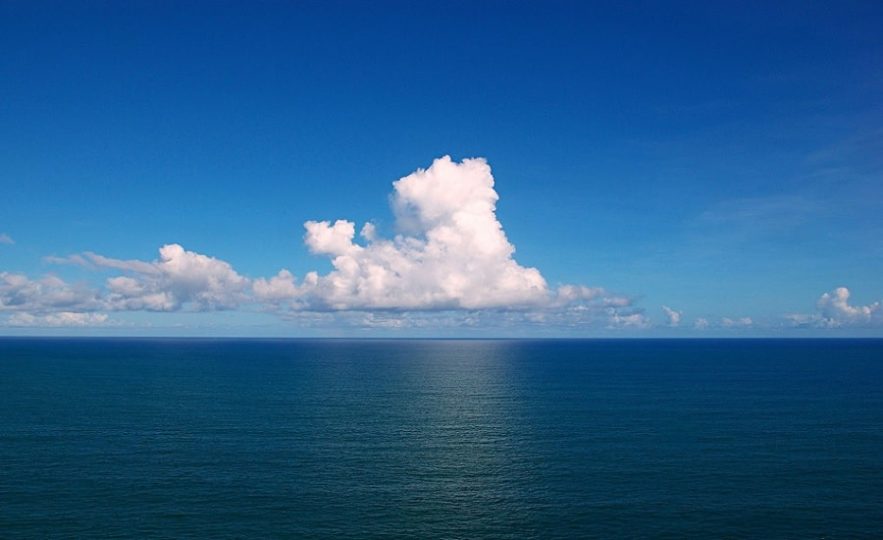 oceans zones mortes