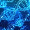 adn dna donnees genetiques genes