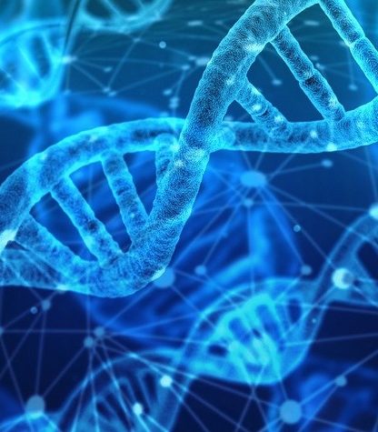 adn dna donnees genetiques genes