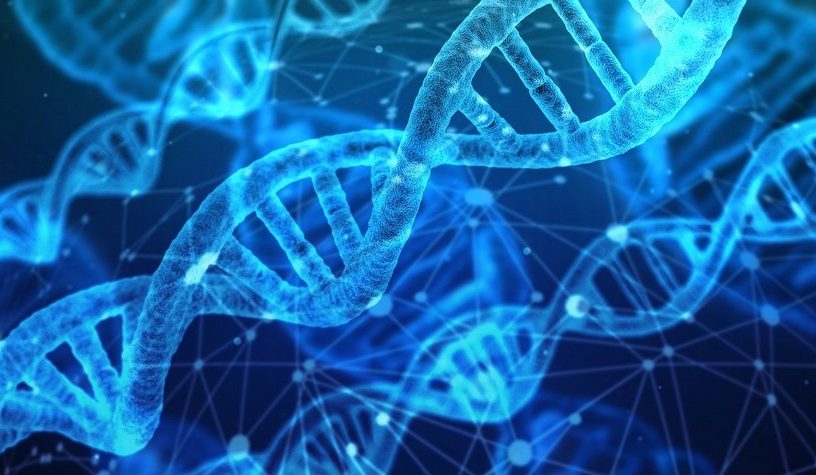 adn dna donnees genetiques genes