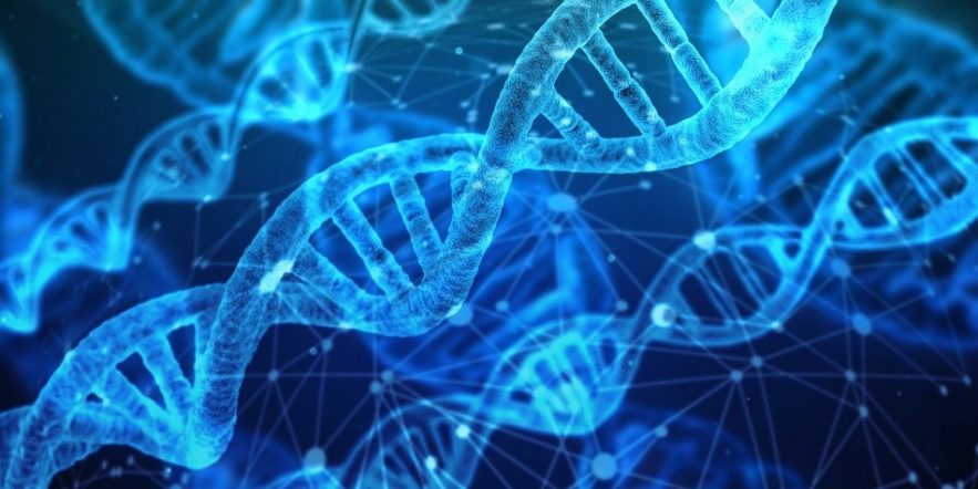 adn dna donnees genetiques genes