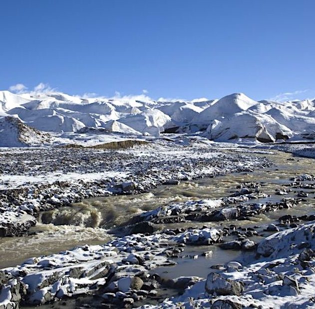 anciens virus inconnus decouverts glacier tibet