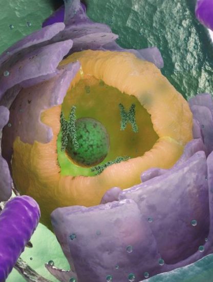 bacterie etrange secrets origine vie complexe