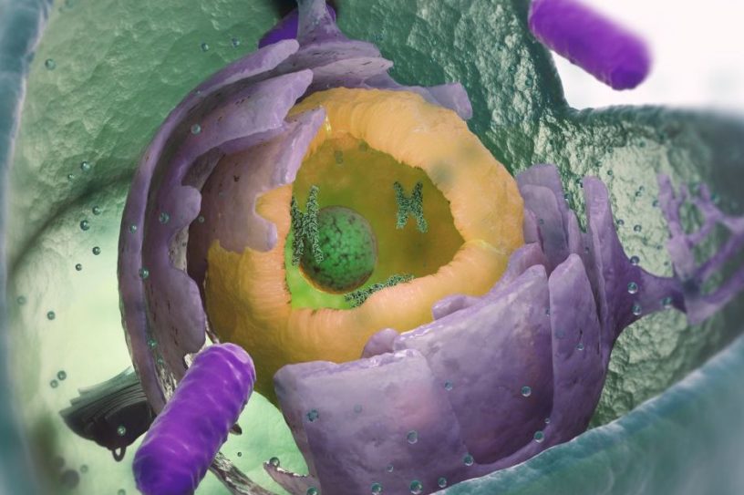 bacterie etrange secrets origine vie complexe