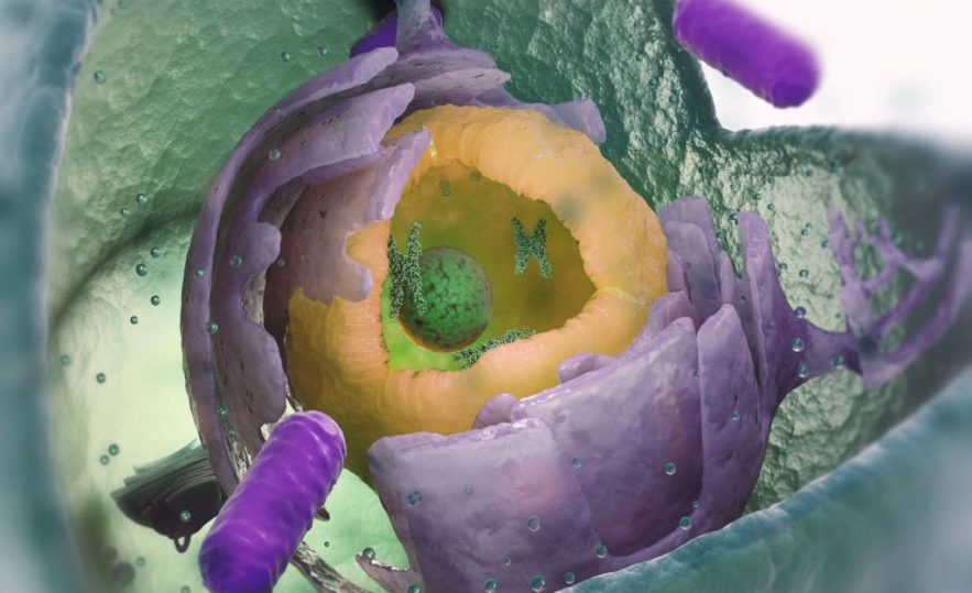 bacterie etrange secrets origine vie complexe