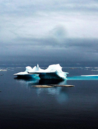 bilan thermique ocean 2019 alarmant