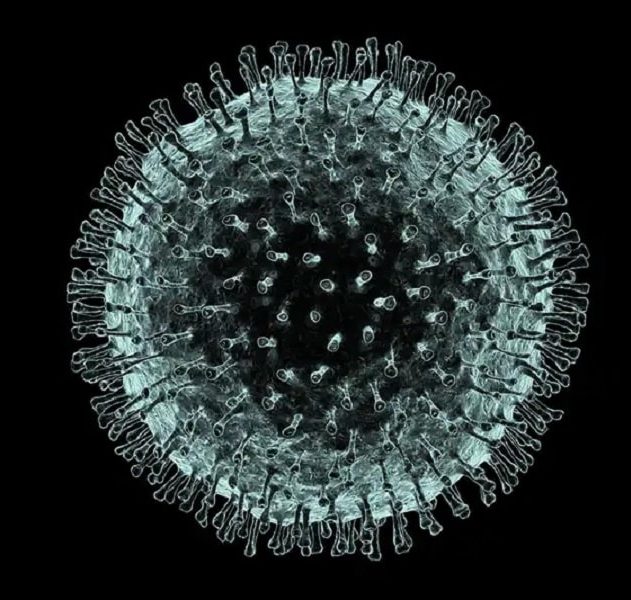 contagion virus