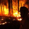 australie feu incendie